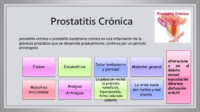 charla erótico oral sin condón charla erótico oral sin condón
